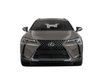 2020 Lexus UX UX 200
