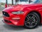 2023 Ford Mustang EcoBoost