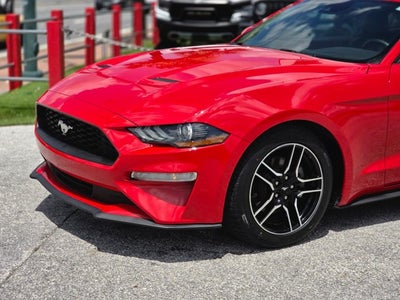 2023 Ford Mustang EcoBoost