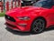 2023 Ford Mustang EcoBoost