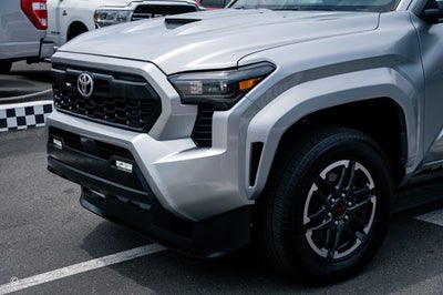 2024 Toyota Tacoma 2WD TRD Sport