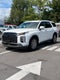 2024 Hyundai Palisade SEL 7P